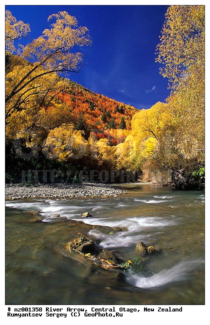 ����� ��������, ���� Arrow, ����������� �����, ����