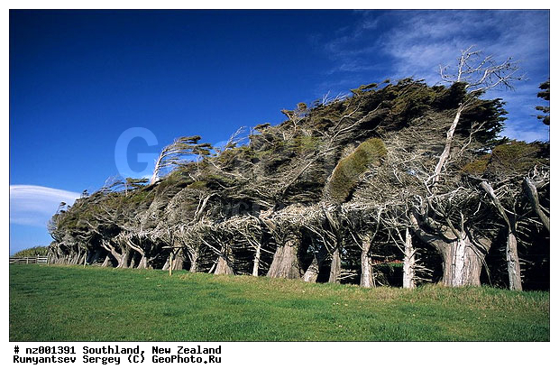 ����� ��������, ��������