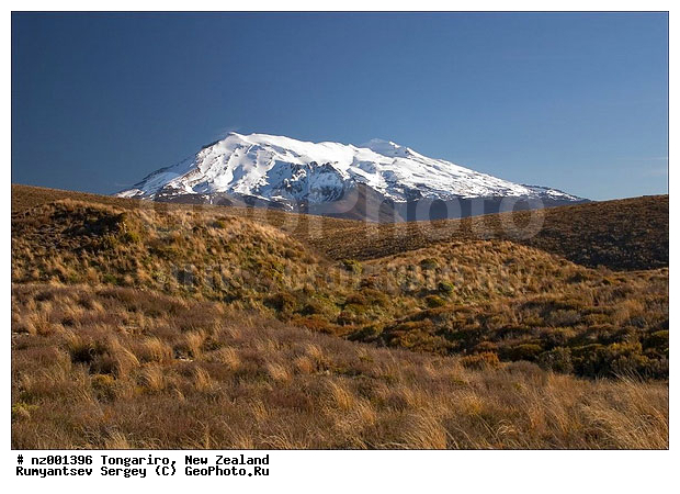 ����� ��������, ���������