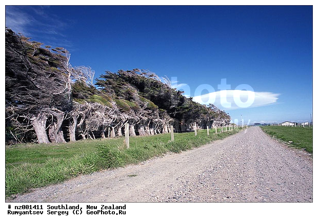 ����� ��������, ��������, ������