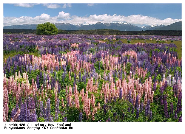 ������, ����� ��������