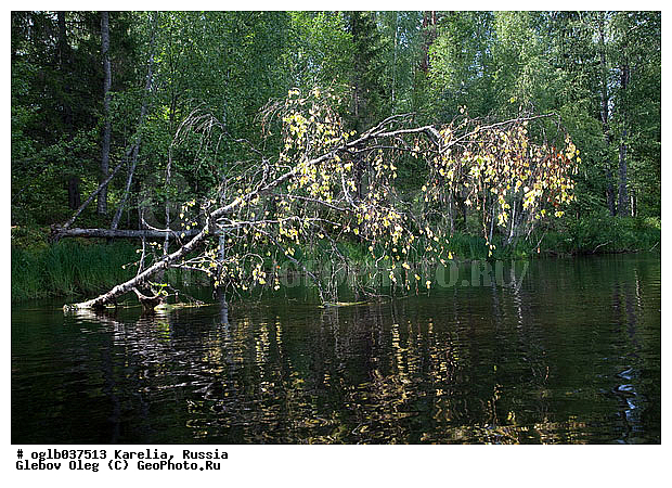 �������, ������