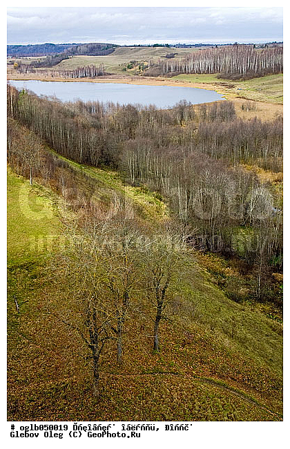 ��������� �������, ������, ��������� �������