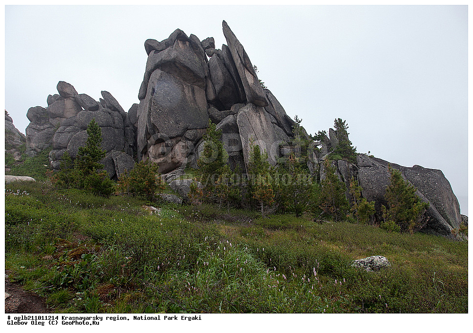  ������������ ����, ������������ ����, ������