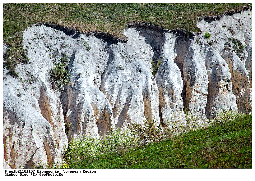 ����������� �������, ����������, ���