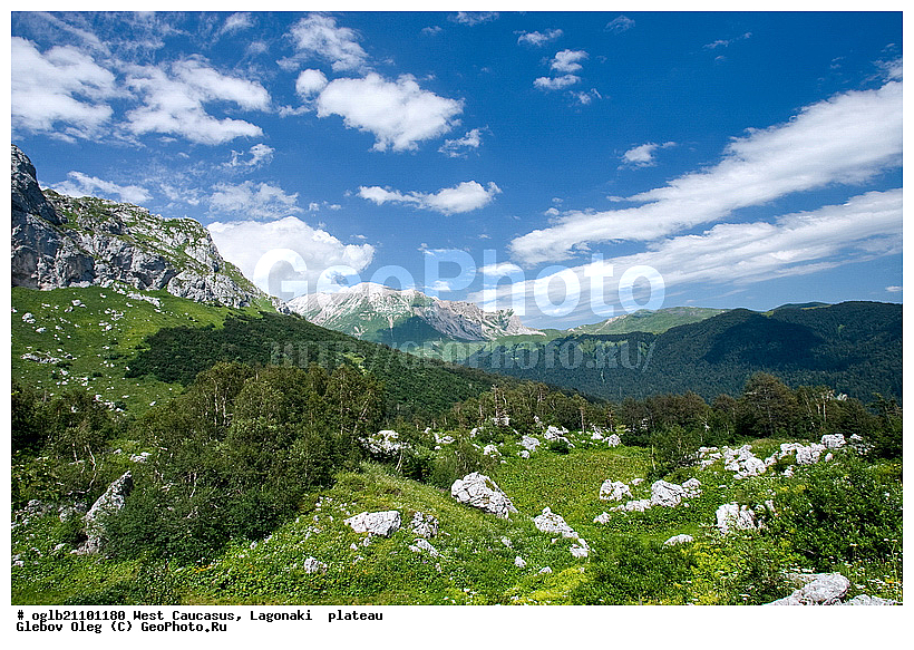 ������, ����-����, ����������� �������, ������� ����, �������� ������, ����� ��������