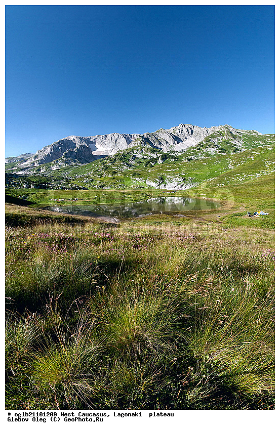 ������, ����-����, ����������� �������, ������� ����, �������� ������, ����� ��������