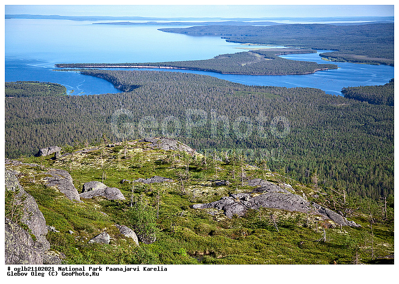 �������, ������������ ����, ���������, ����� �������, ������������ ����, ���������, �������