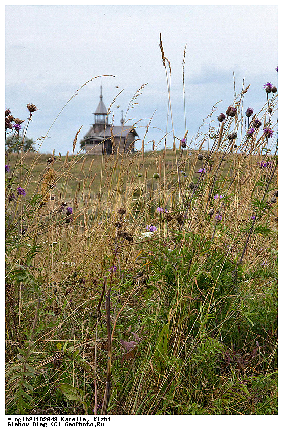 �������, ����, ���������� �����������, ����������, ���������, ����, �����, ����, ������� ��������, ����, �������