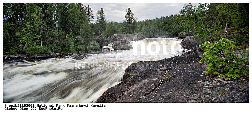 �������, ������������ ����, ���������, ������, ������-����, ������, ������-�����