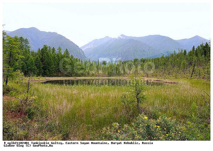 �������, ��������� �����, ������, ���������� ������, ������, ������, ������������, �������, ����, �����, ����������