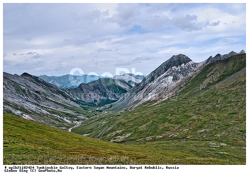 �������, ��������� �����, ������, ���������� ������, ������, ������, ������������, �������, ����, �����, ����������