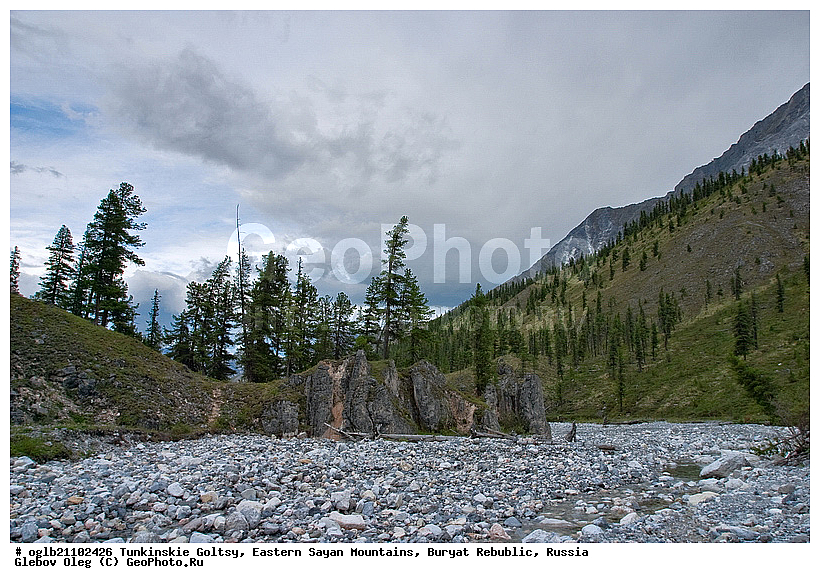 �������, ��������� �����, ������, ���������� ������, ������, ������, ������������, �������, ����, �����, ����������