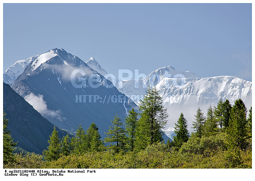 �����, ������, ��������� ����, ������� ������, �����, ���� ������, ������