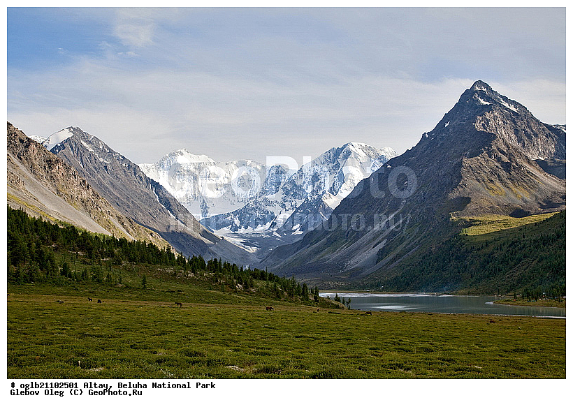 �����, ������, ��������� ����, ������� ������, �����, ���� ������, ������