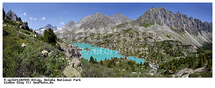 �����, ������, ��������� ����