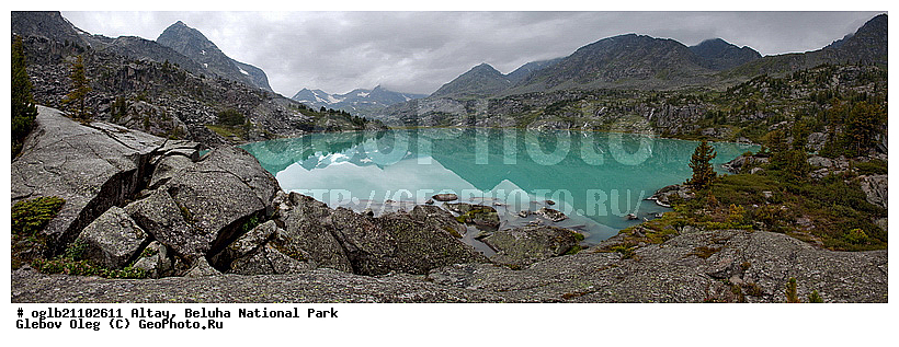 �����, ������, ��������� ����