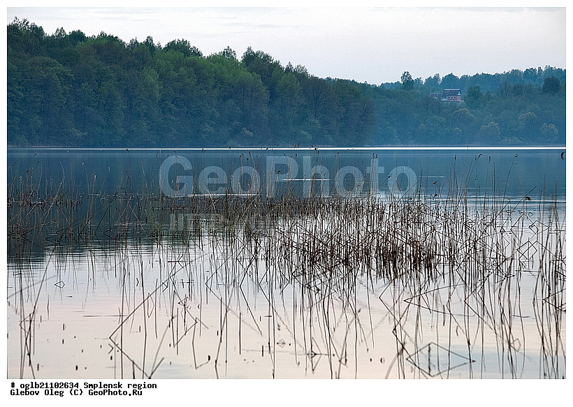 ���������� ��������, �������