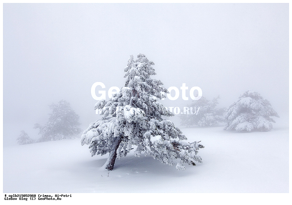 ����, ��-�����, ����, ������