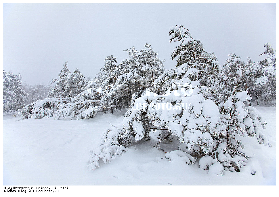 ����, ��-�����, ����, ������