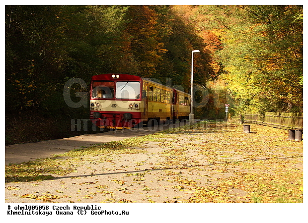 ����������, �����, �����, �����, �����, �������