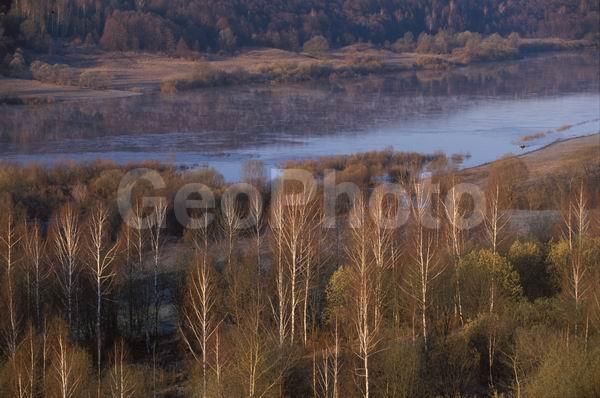 ���, ����, ��������� ������