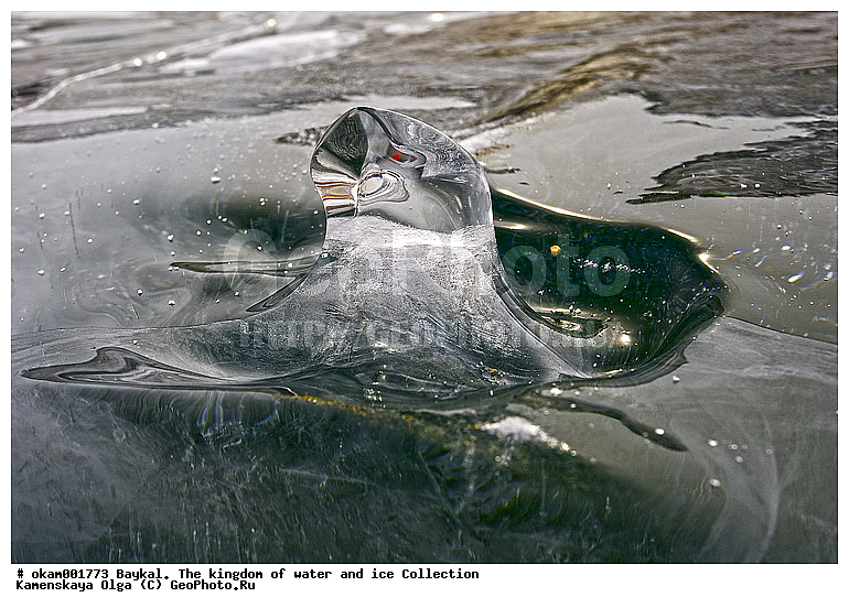 ������, ���, ���������, ����, ���, �������, ������, �����������, ��������, �������, �����