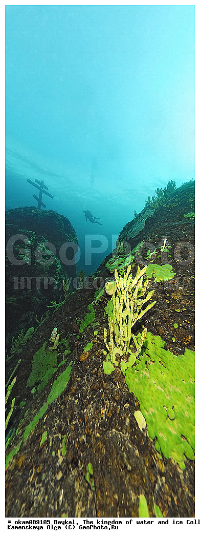 ������, ���, ���������, ����, ���, ������, ���������, ��������� ���, ���������, ���� �����, ������������, �����