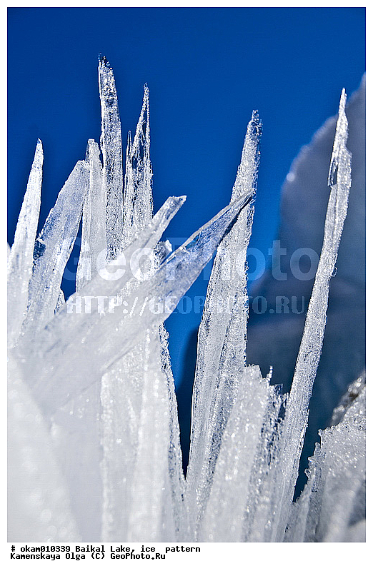 ������, ��������, ���������, ���, ������� ���������, ������, ��������