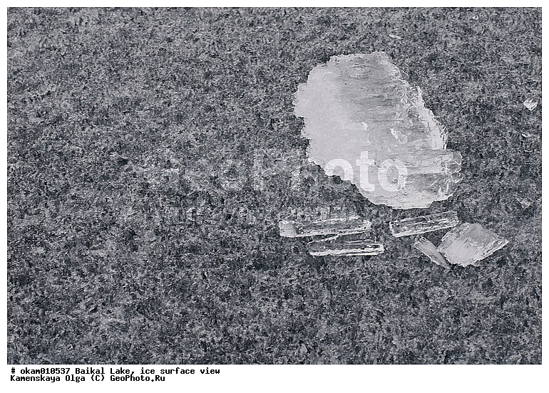 ������, ���, �� ����, ������