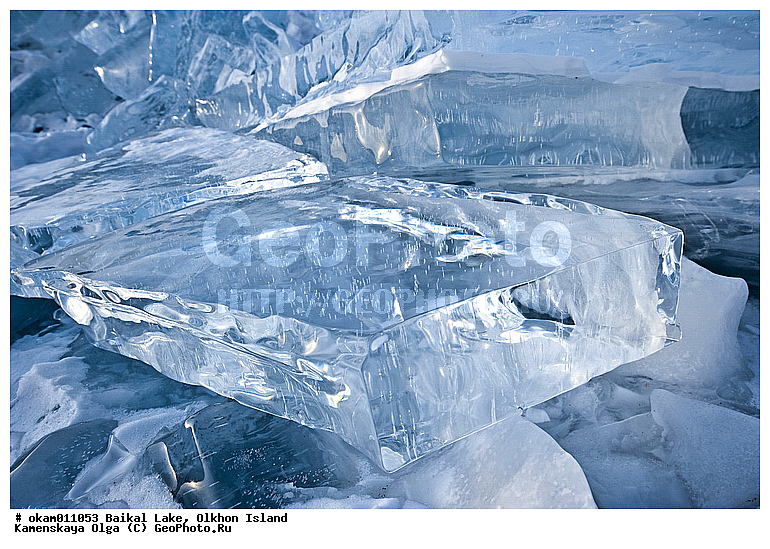 ������, �����, ����, ���, ���, ������, ������, ���� �����, ����� ����