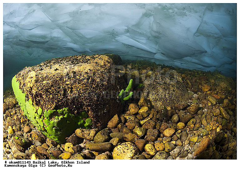 ��� �������, ������, ��������, ������, ���������