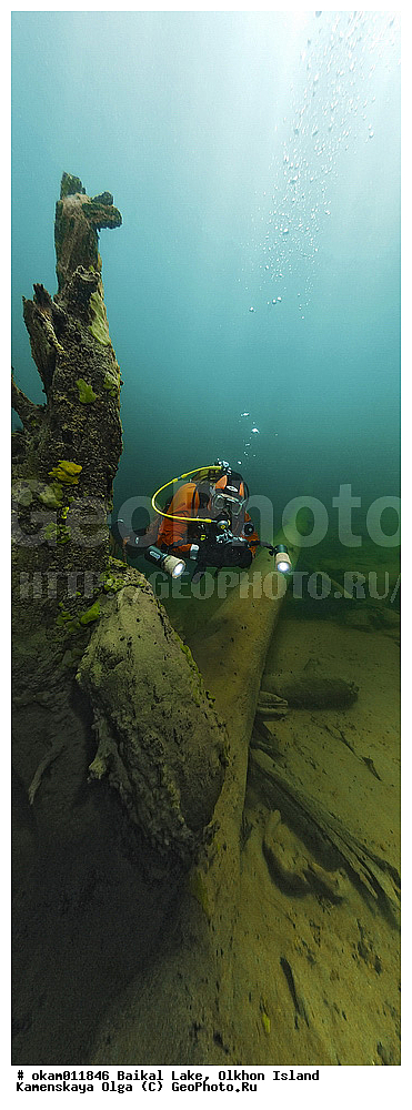 ������, �����, ����, ��������, ���, ������, ������, ���������