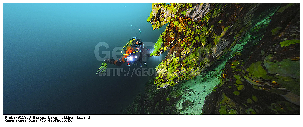 ������� �������, ��������, ���������, �����