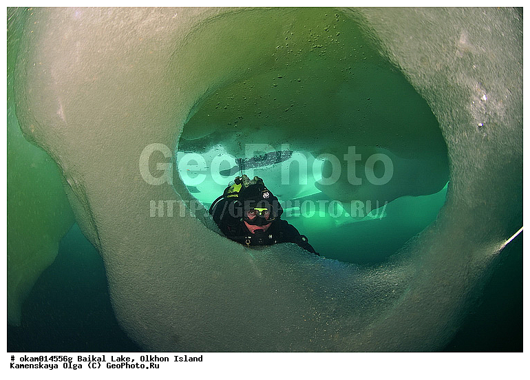 ������, �����, ����, ���, ��� �����, ������, ������, ��������� ��������, ���� �����