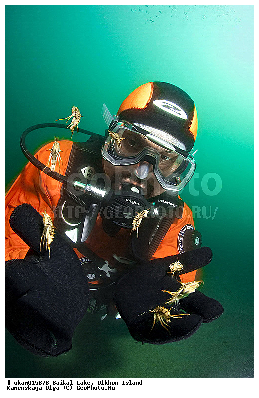 ������, �����, ����, ��������, ���, ������, ������, ���������