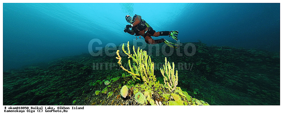 ��� �������, ������, ��������, ������, ���������