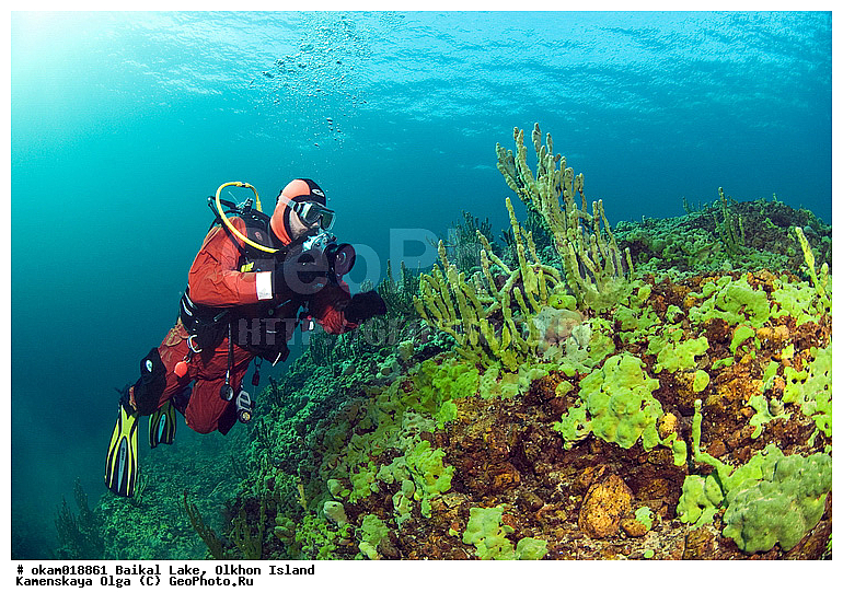 ��� �������, ������, ��������, ������, ���������