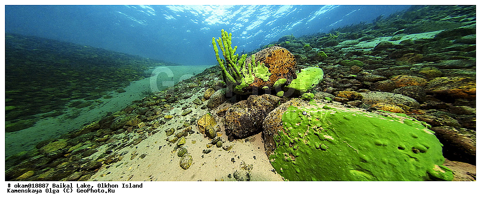 ��� �������, ������, ��������, ������, ���������