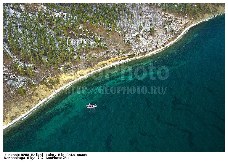 ��������, ������, ����������, �������, �����, ��� ������, �����, ������ ����, ���������, ������ �����