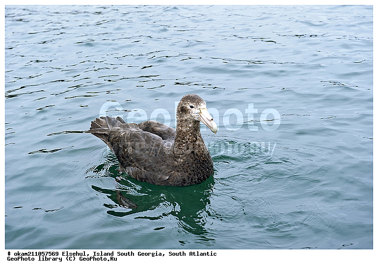 ����������, ������, �������, ����� ���������, ����� ��������, ����� ������, ��������������, ������� ������, �������� ���, �������, �������