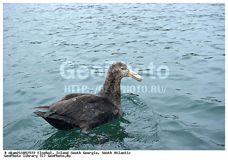 ����������, ������, �������, ����� ���������, ����� ��������, ����� ������, ��������������, ������� ������, �������� ���, �������, �������