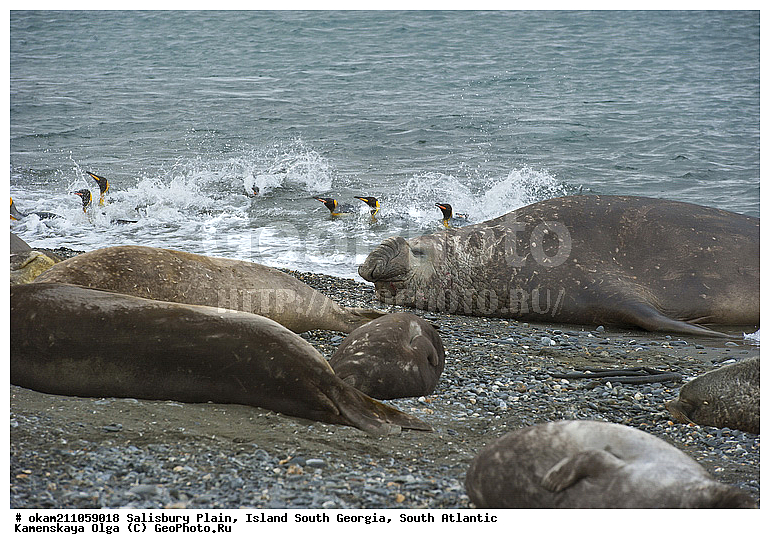 ����������, ������, ����� ���������, ����� ��������, ����� ������, ��������������, ������� ������, �������� ���, �������, �������