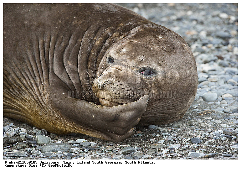 ����������, ������, ����� ���������, ����� ��������, ����� ������, ��������������, ������� ������, �������� ���, �������, �������