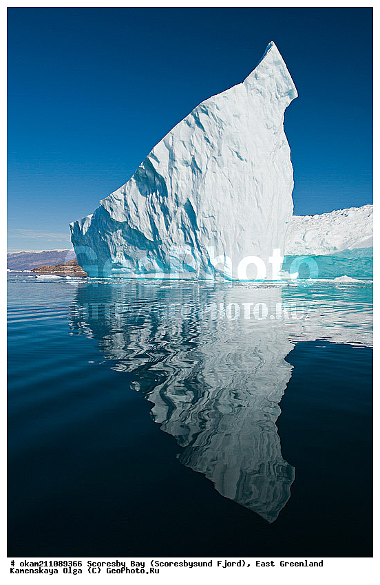 ����������, �����, �������, �����������, �����, ����������� ������, ������