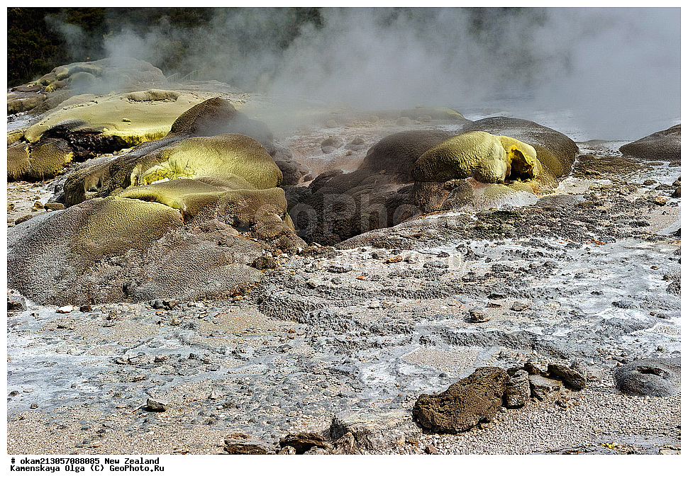 ����, �������, ���, ������, Rotaiti, ����� ��������