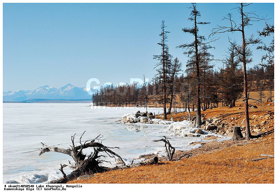  ��������, �����, ��������, �������, �������