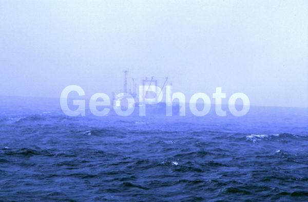 �������, ������������ �������, ����� �����, ��������������� ����, ����, �����������, ������� ��������, ������, ����������, ��������, ������, ����, �����, ��������, �������, �����, �����