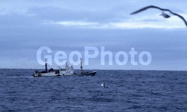 �������, ������������ �������, ����� �����, ��������������� ����, ����, �����������, ������, ��������, ������, ����, �����, ��������, �������