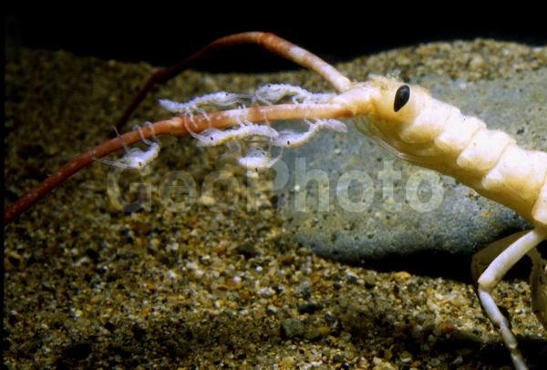 �������, ������� � ������ �� ��������, ������, ��������������, ��������������� ����, ����� �������, ��������, �����������, ����, ��������, ��������� ����������, ���������� ������������